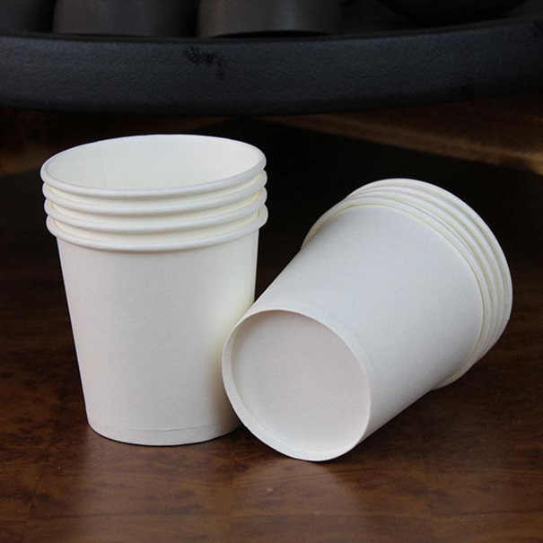 Cốc giấy giá rẻ - giải pháp thay thế hoàn hảo cho cốc nhựa